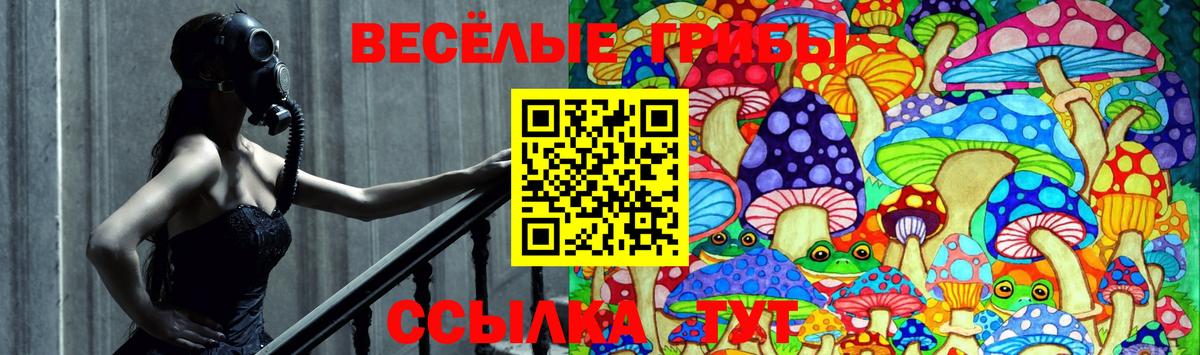 Псилоцибиновые грибы мухоморы  хочу наркоту  Новодвинск  Вход с VPN 