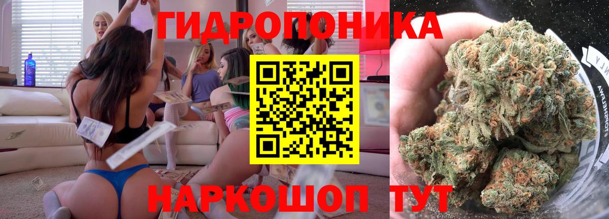 МАРИХУАНА индика  МАРИХУАНА ГИДРОПОН  МАРИХУАНА AK-47  Вход с VPN  Новодвинск  Шишки марихуана THC 21% 